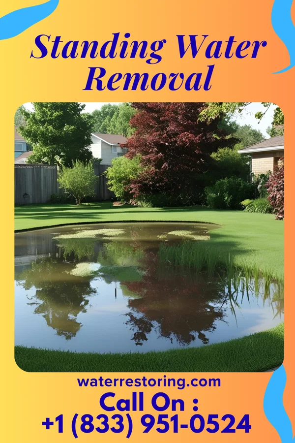Standing Water Removal in Cordaville, MA